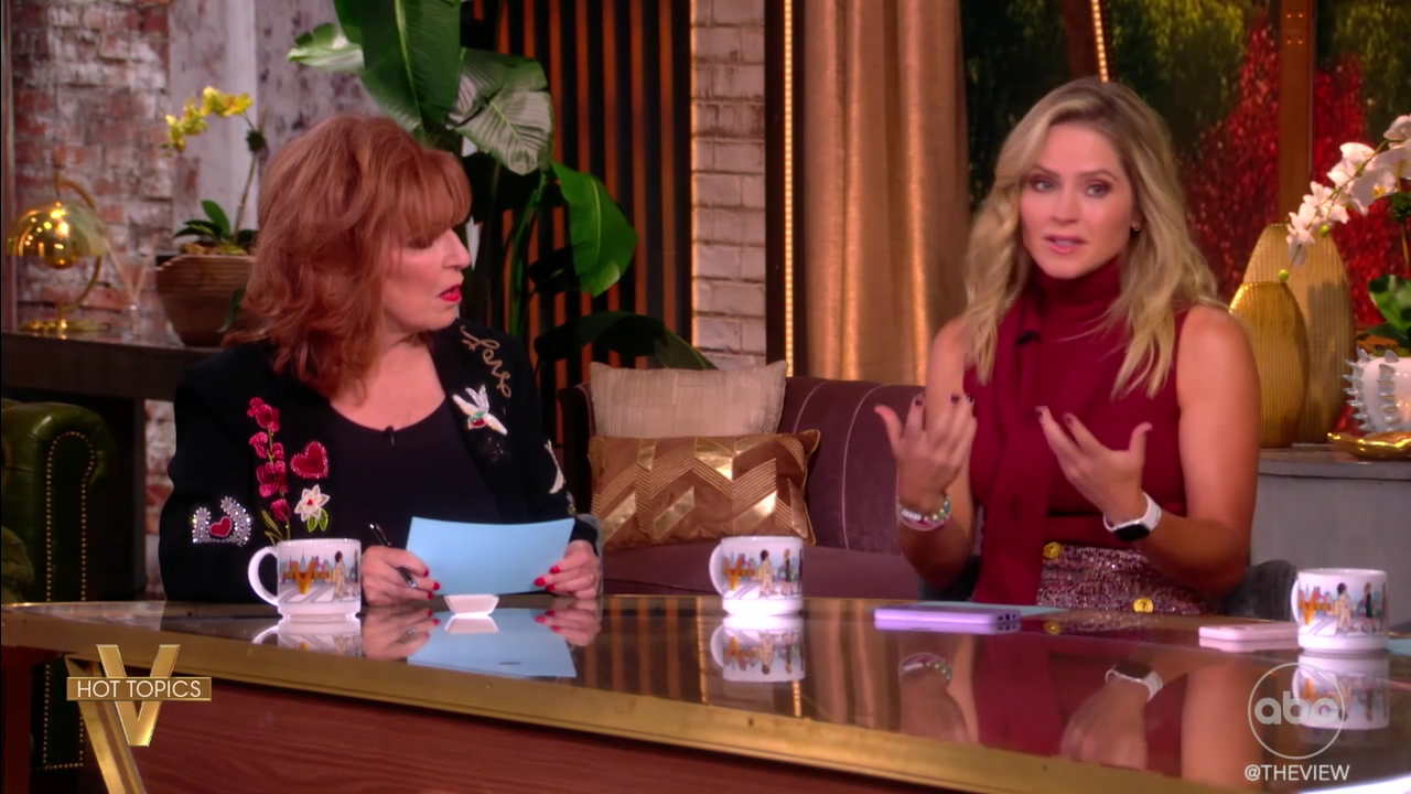 The View S29E05 2025-09-12-1100 (20).png