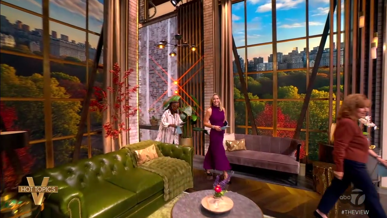 The View S29E07 2025-09-16-1100.png