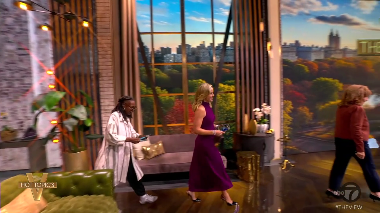 The View S29E07 2025-09-16-1100 (03).png