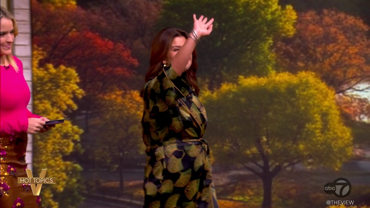 The View S29E46 2025-11-10-1100 (06).png