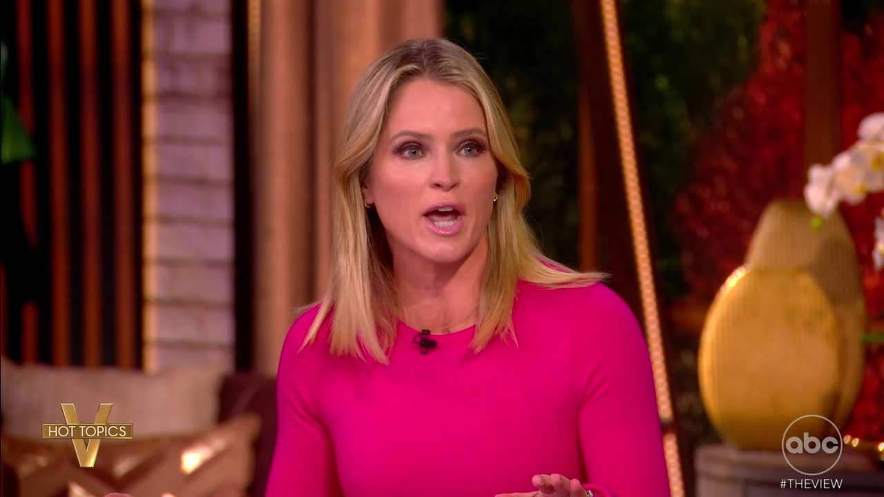 The View S29E46 2025-11-10-1100 (22).png