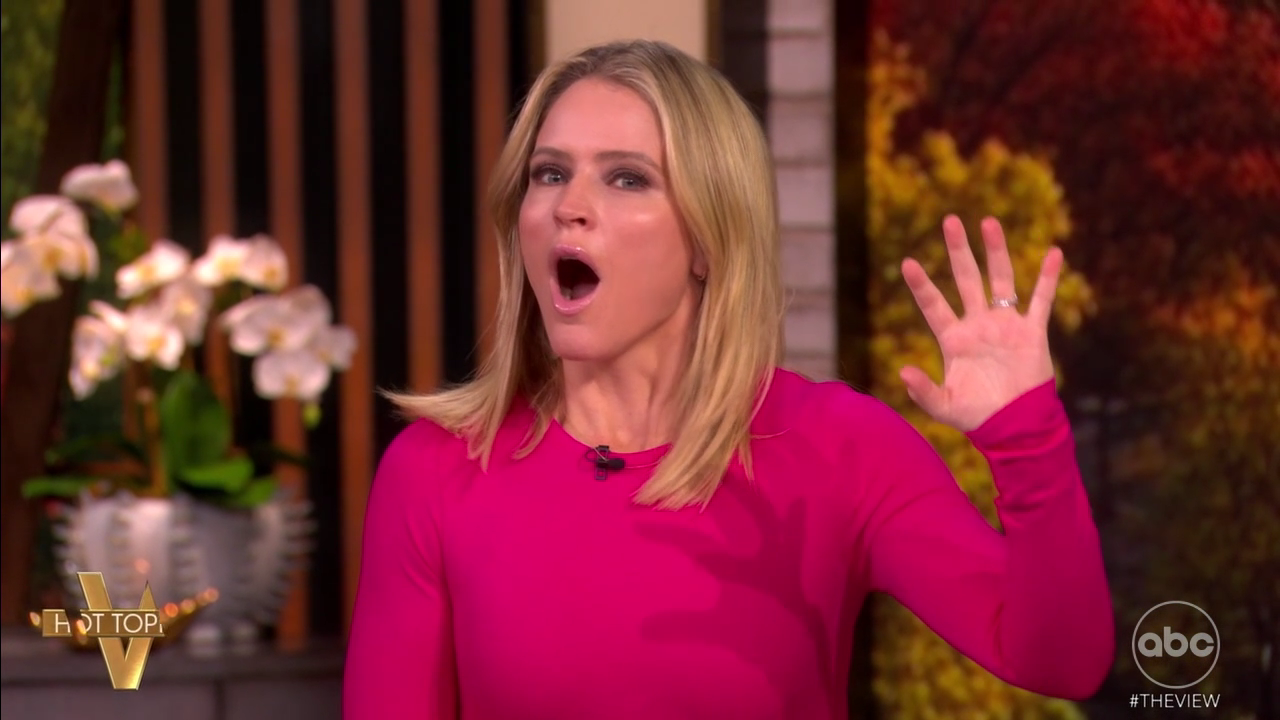 The View S29E46 2025-11-10-1100 (23).png