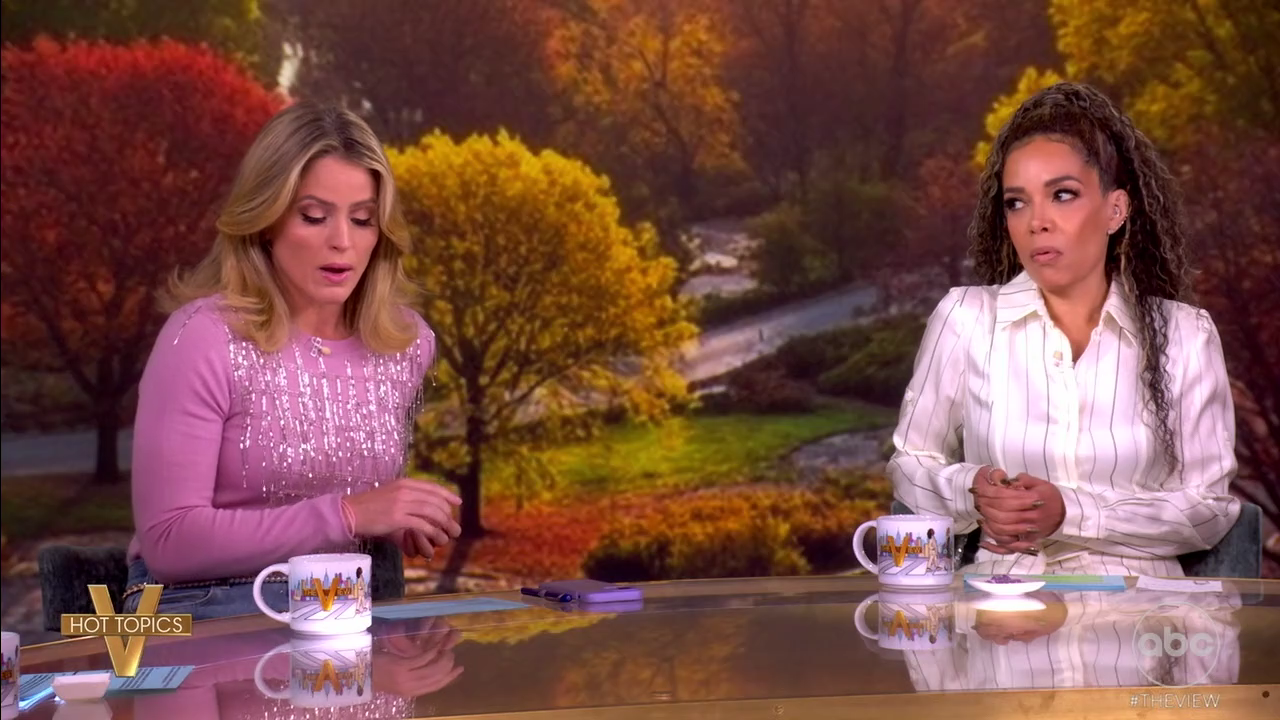 The View S29E54 2025-11-20-1100 (11).png
