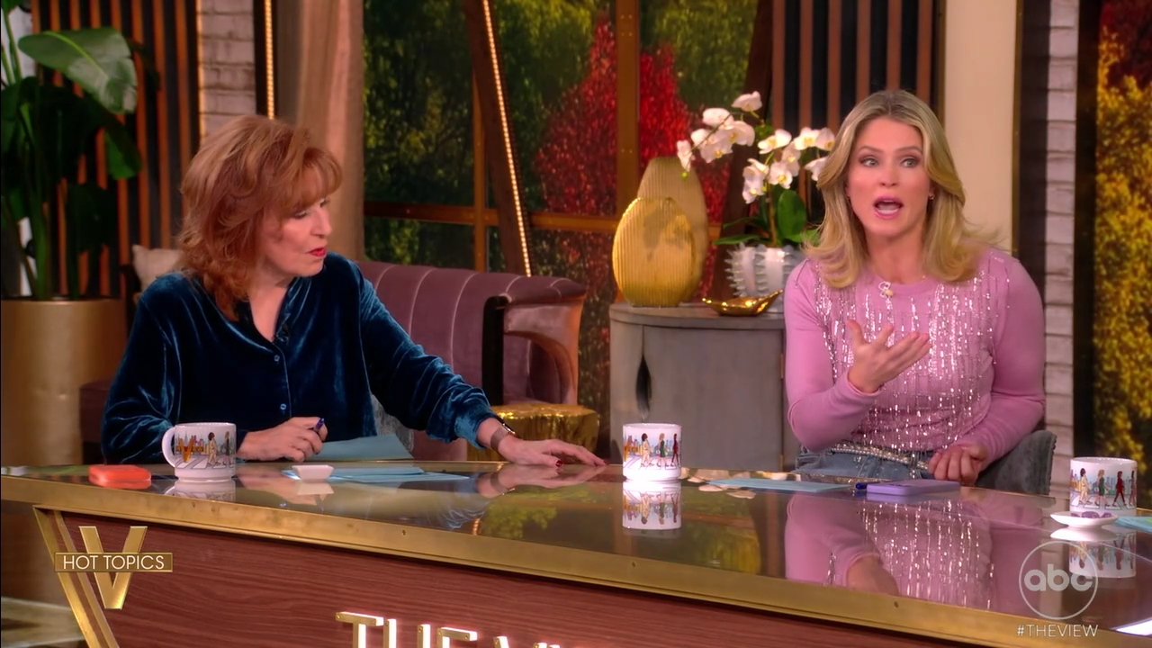 The View S29E54 2025-11-20-1100 (13).png