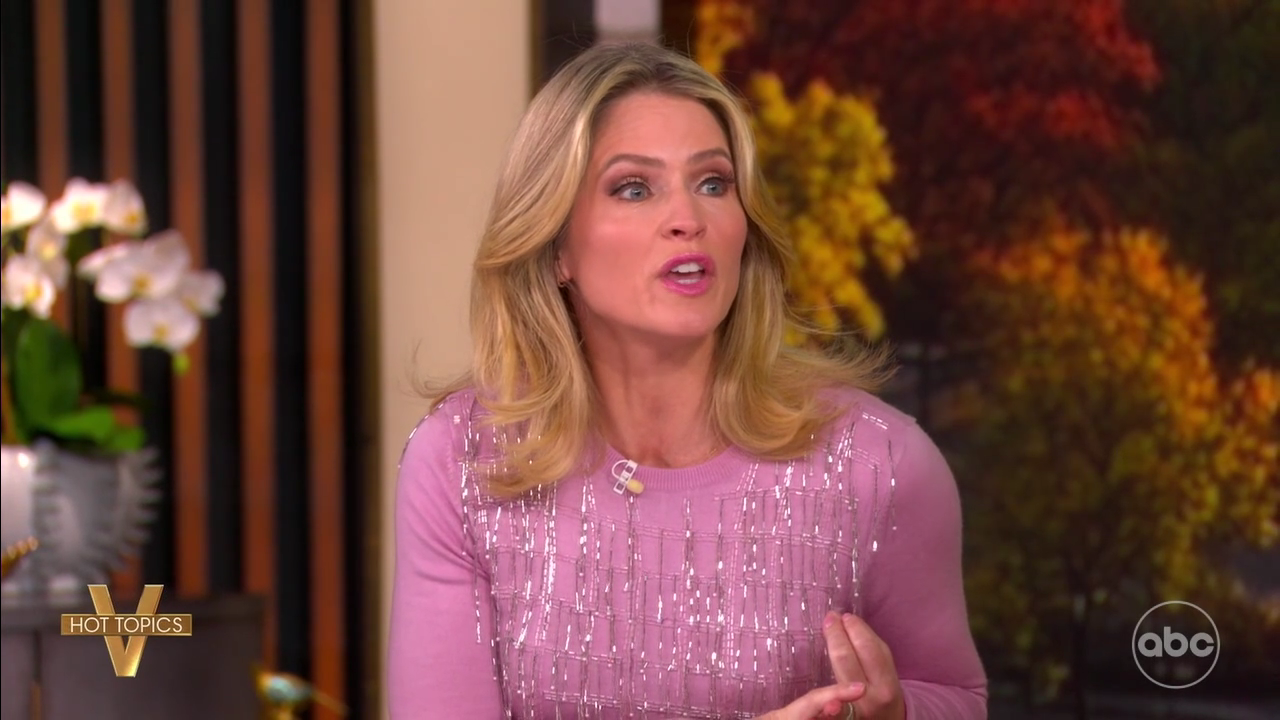 The View S29E54 2025-11-20-1100 (06).png