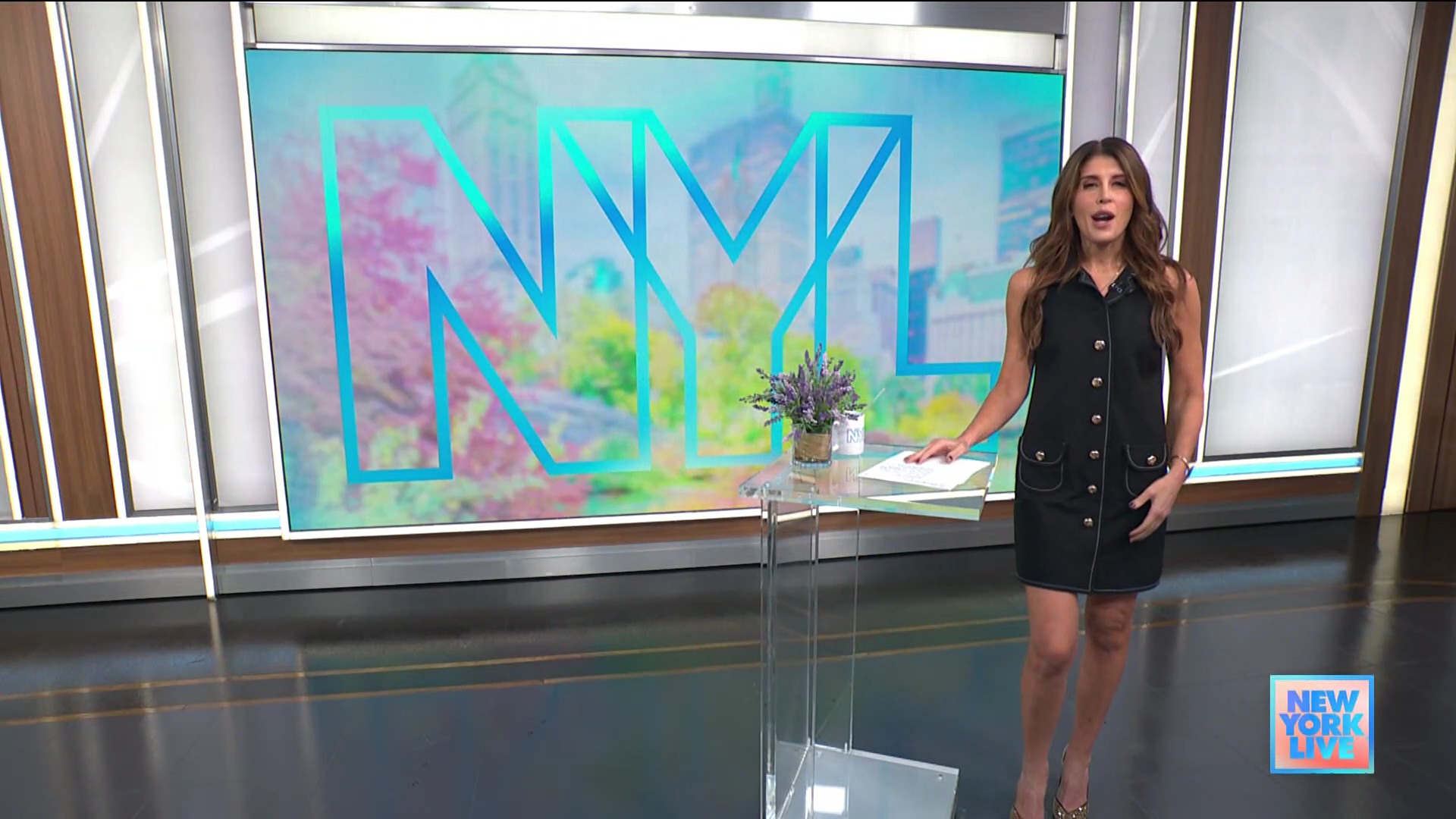 New York Live 2025-12-04-1130 (02).png
