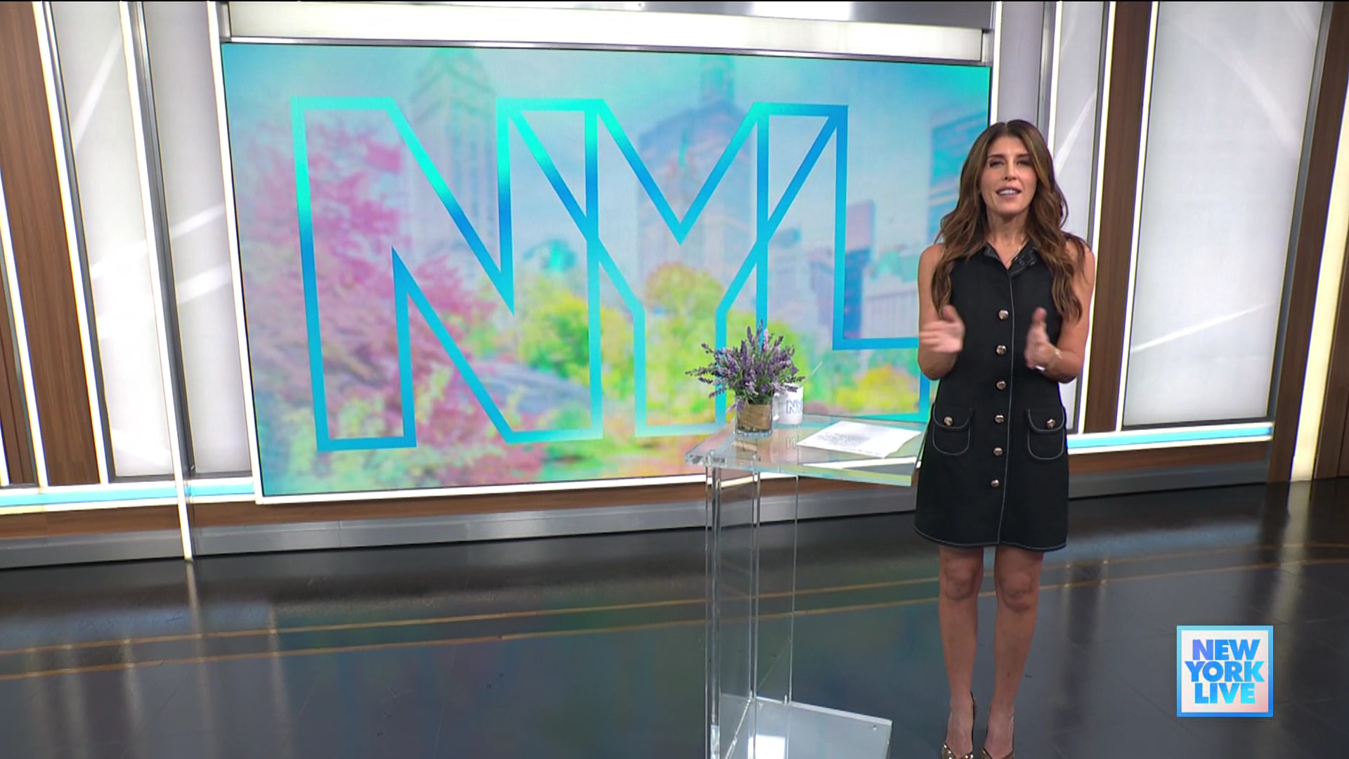 New York Live 2025-12-04-1130 (03).png