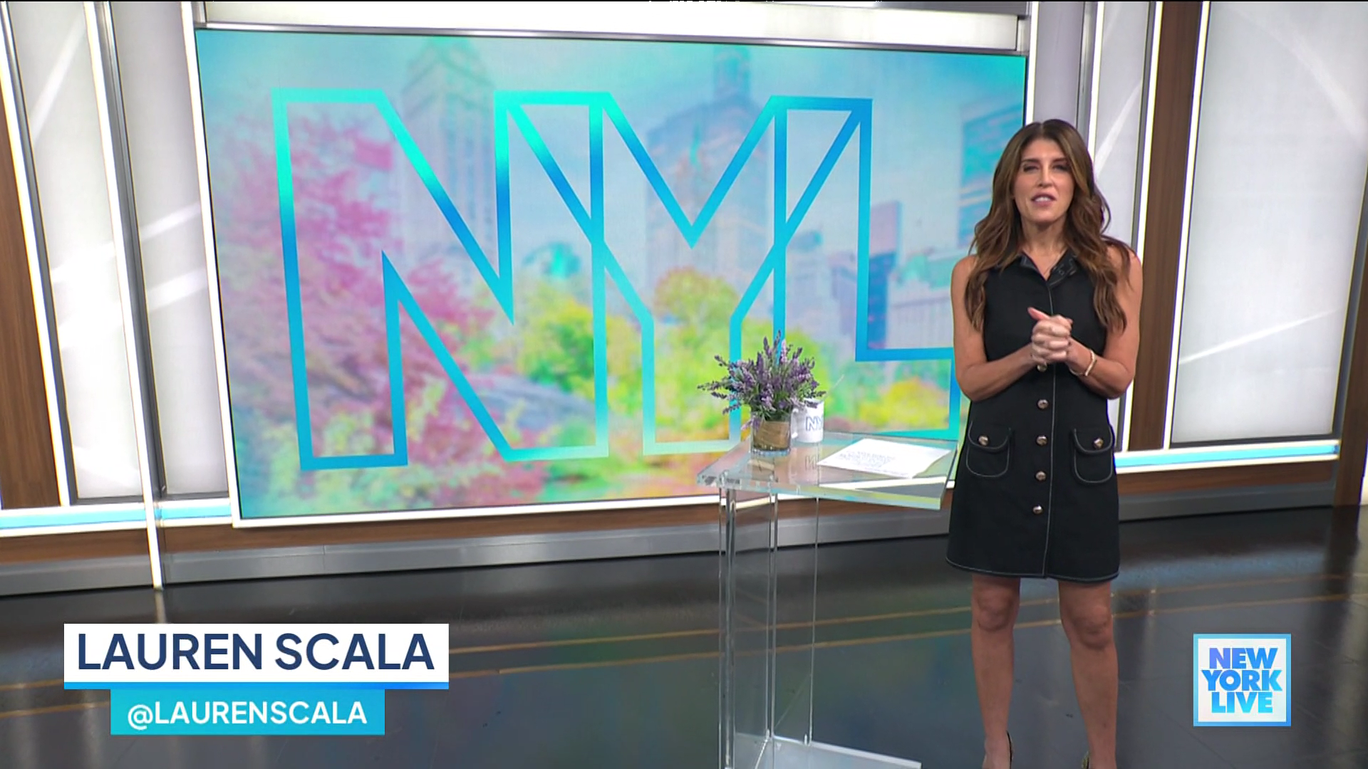 New York Live 2025-12-04-1130 (04).png