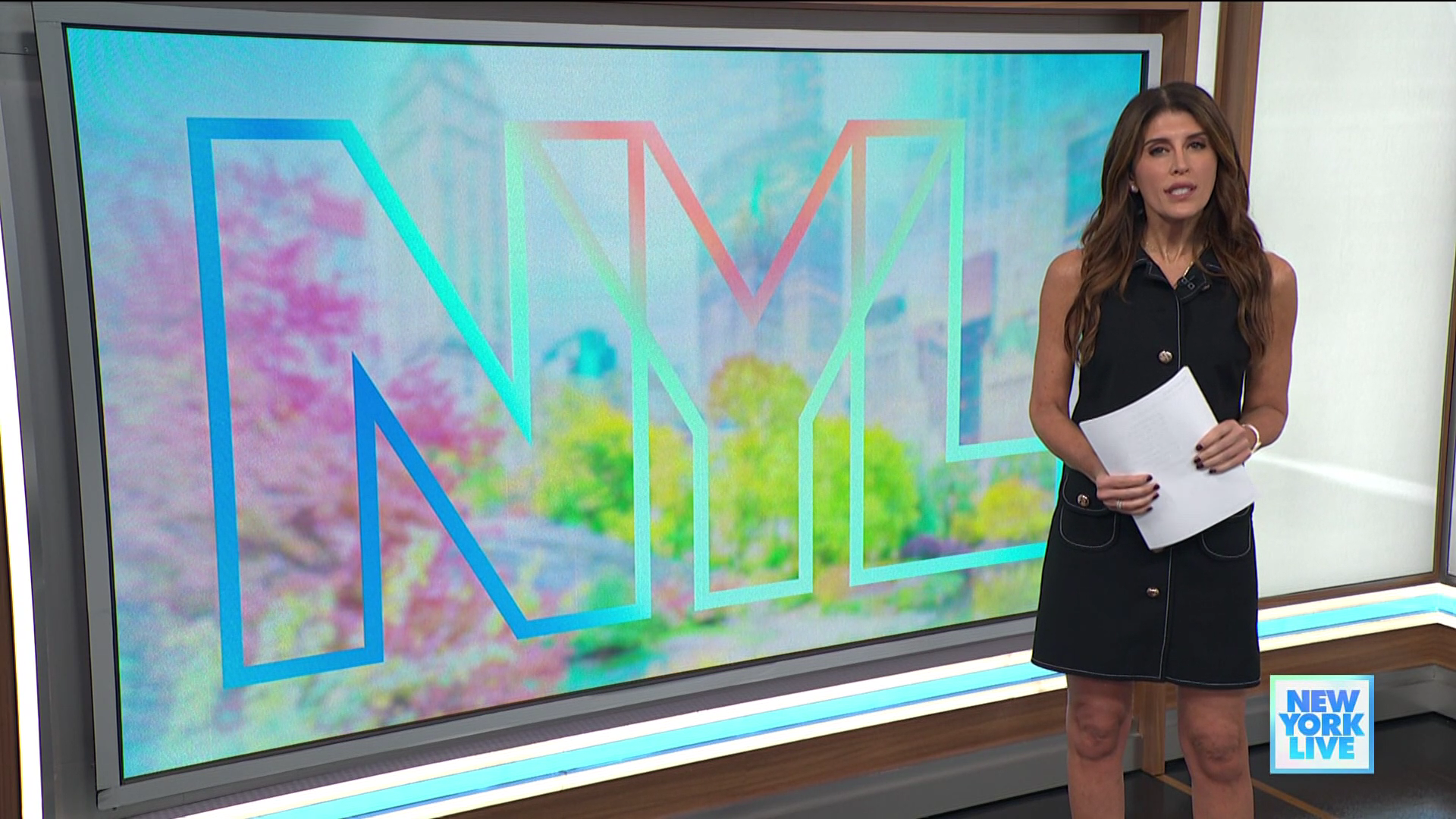 New York Live 2025-12-04-1130 (35).png