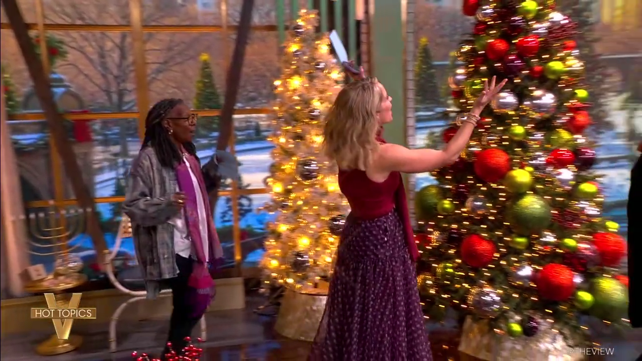The View S29E62 2025-12-04-1100 (04).png