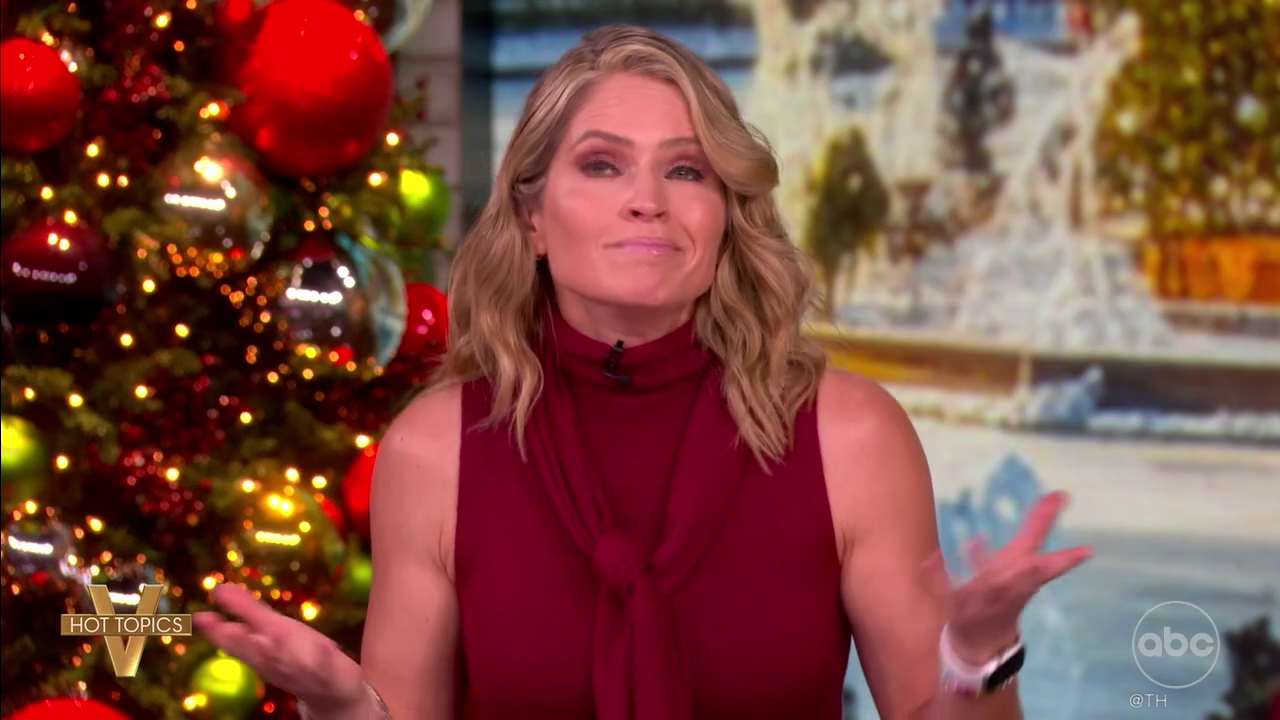 The View S29E62 2025-12-04-1100 (15).png