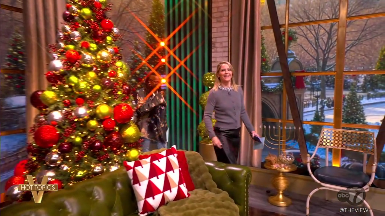 The View S29E65 2025-12-09-1100.png