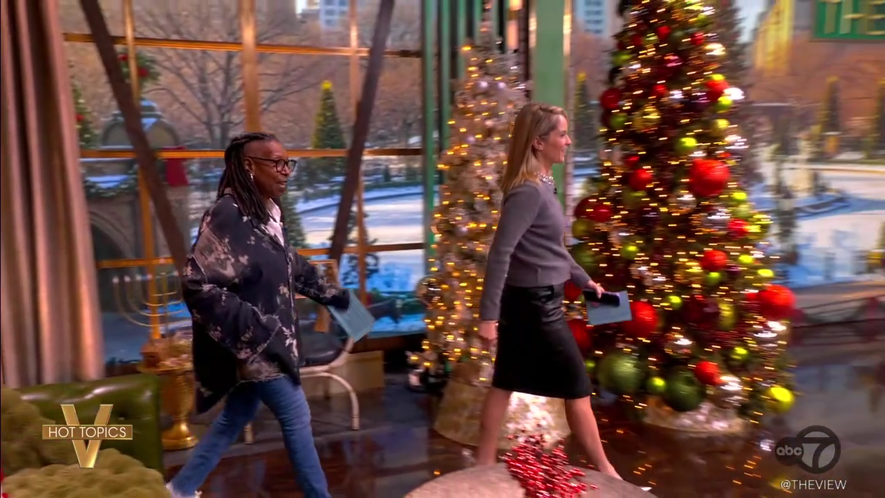 The View S29E65 2025-12-09-1100 (10).png