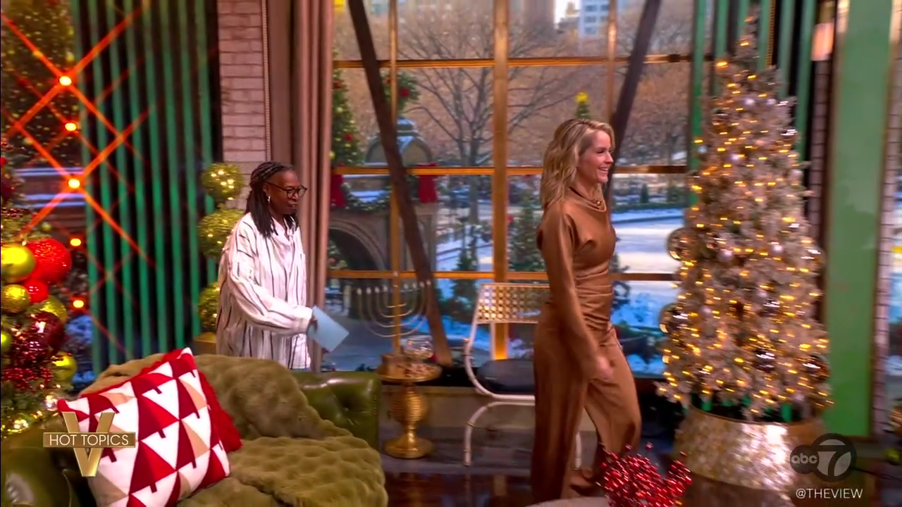 The View S29E66 2025-12-10-1100 (04).png
