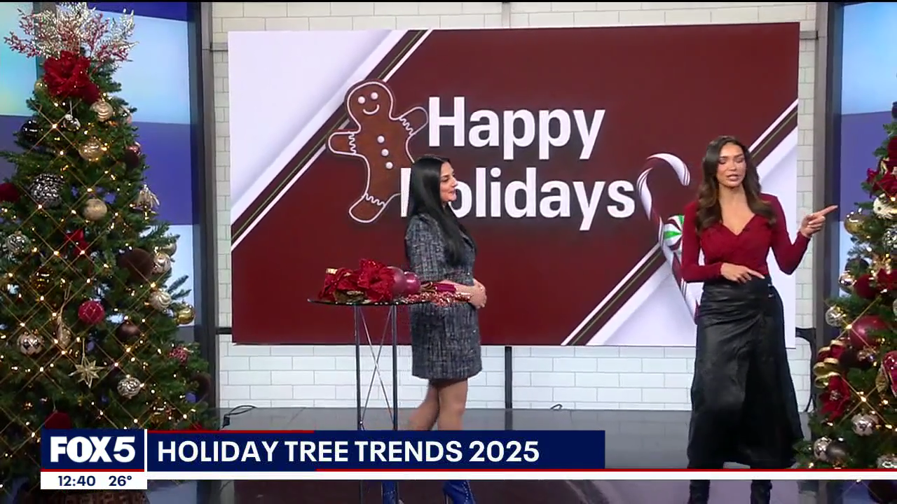 The Noon 2025-12-15-1200 (14).png