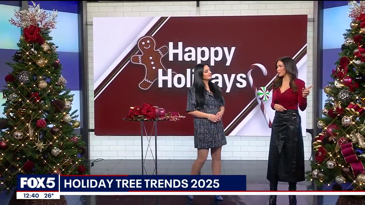 The Noon 2025-12-15-1200 (15).png