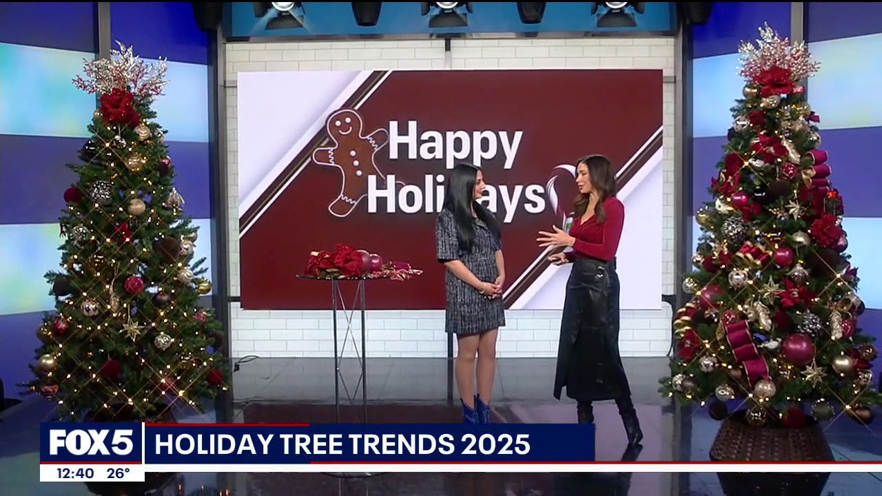 The Noon 2025-12-15-1200 (16).png