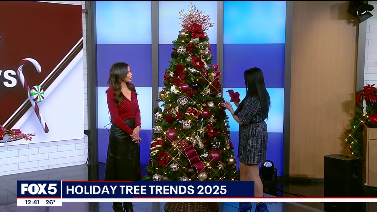 The Noon 2025-12-15-1200 (18).png