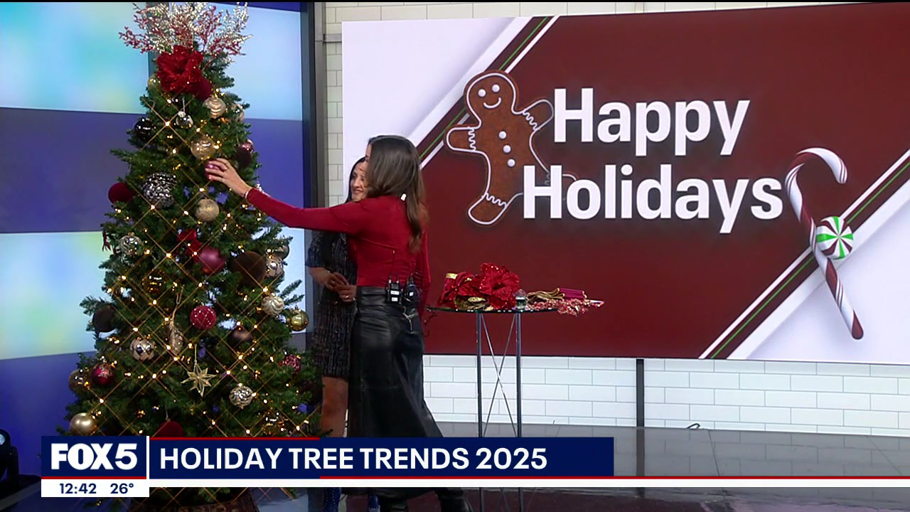 The Noon 2025-12-15-1200 (19).png