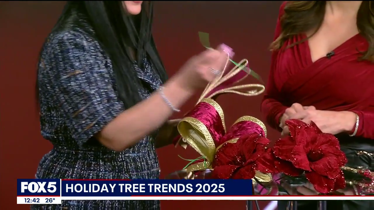 The Noon 2025-12-15-1200 (21).png