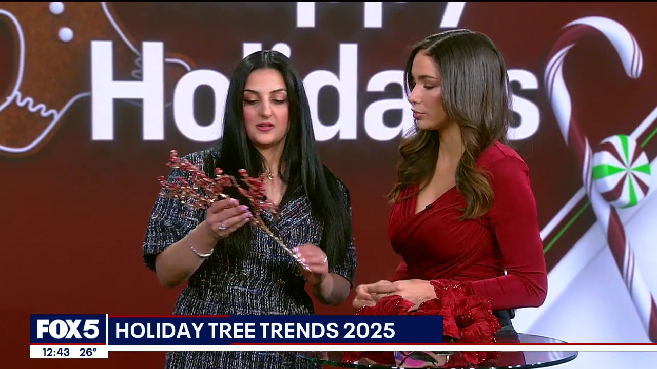 The Noon 2025-12-15-1200 (26).png