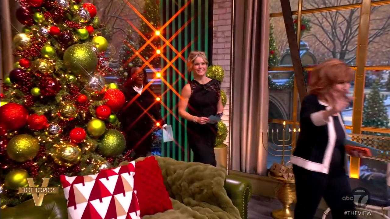 The View S29E71 2025-12-17-1100 (02).png