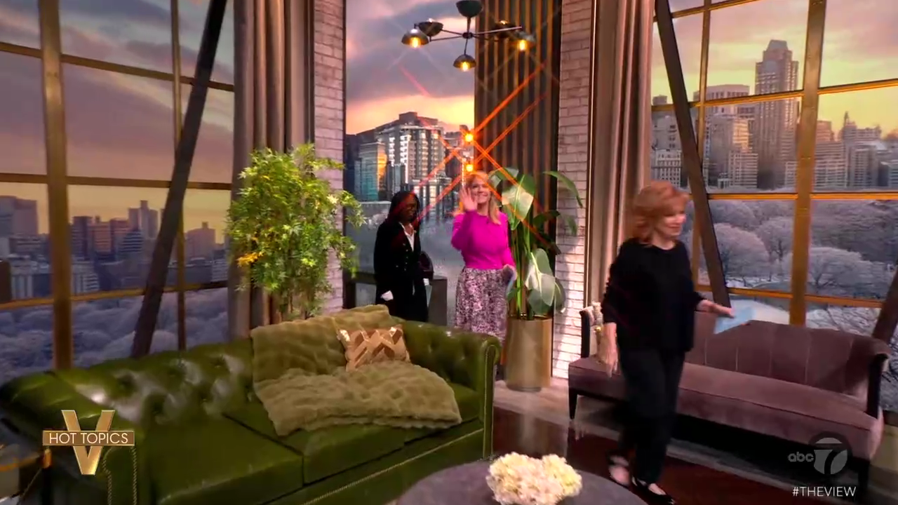 The View S29E77 2026-01-08-1100.png