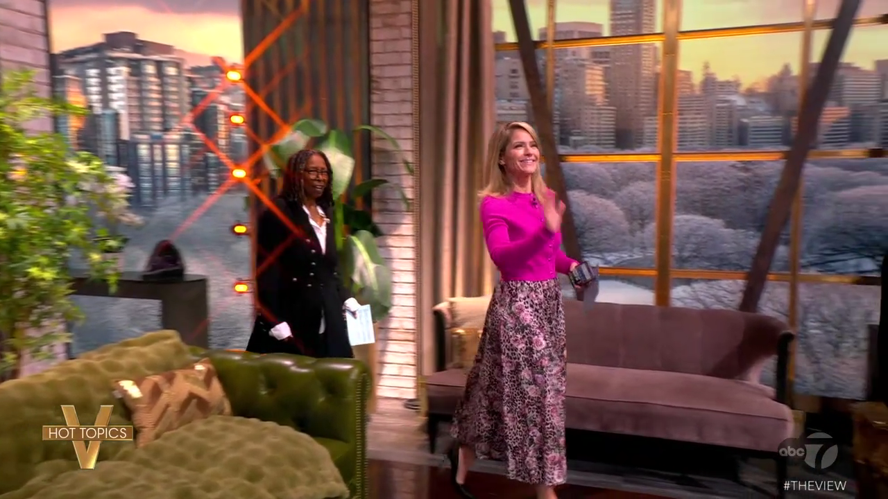 The View S29E77 2026-01-08-1100 (04).png