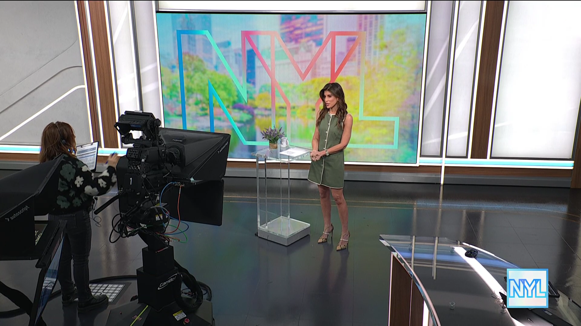 New York Live 2026-01-12-1130.png