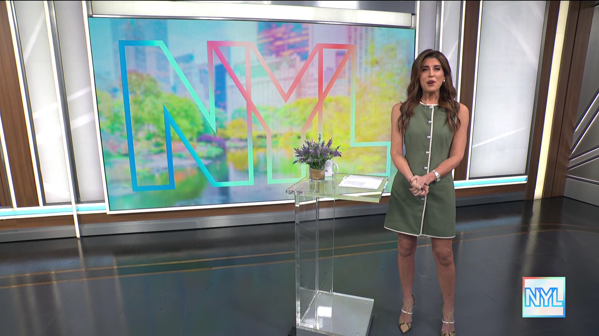 New York Live 2026-01-12-1130 (02).png