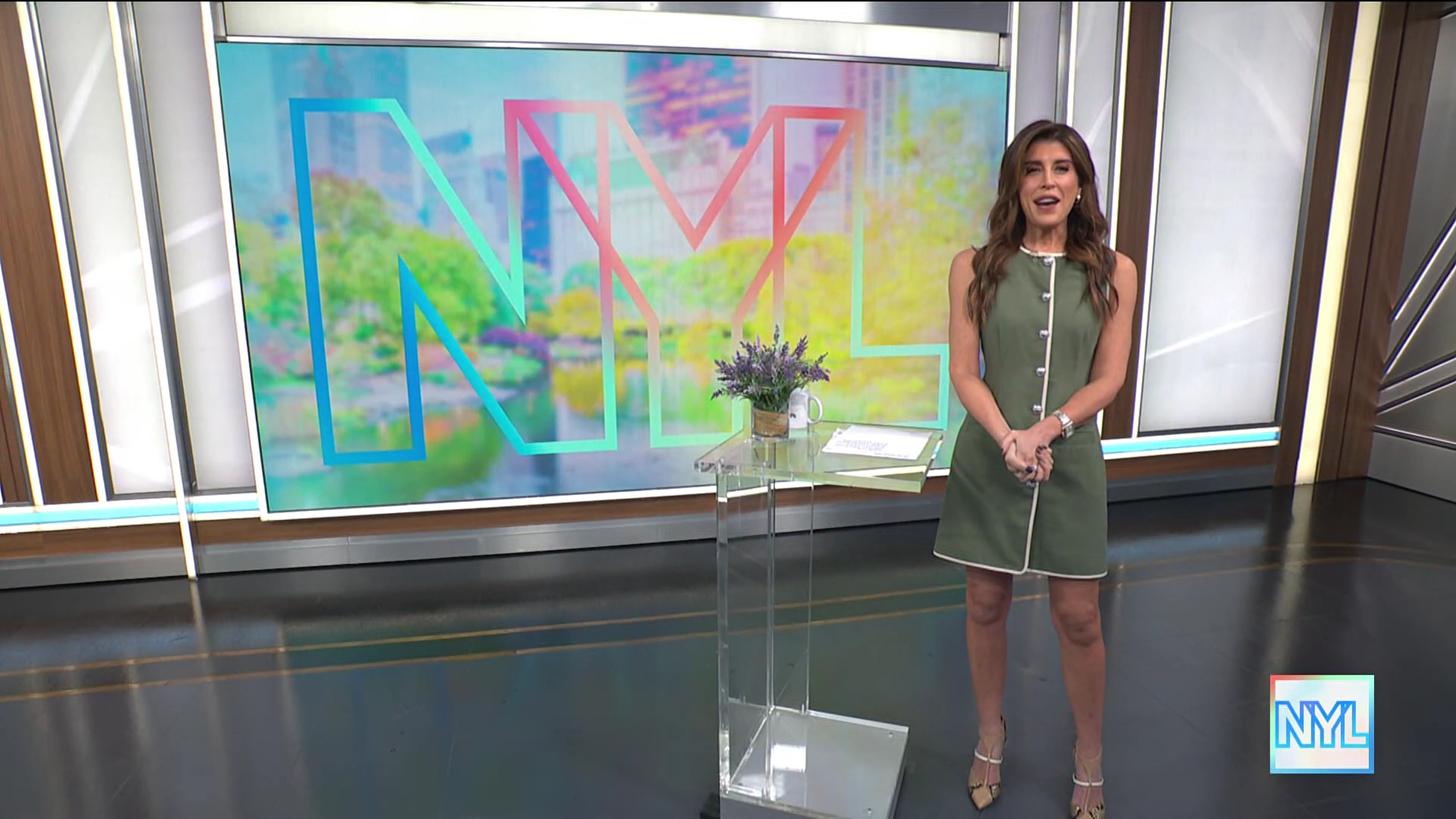 New York Live 2026-01-12-1130 (03).png