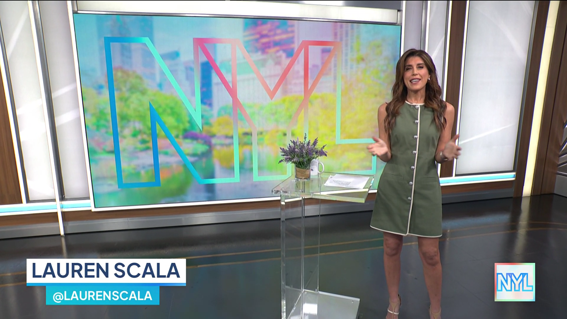 New York Live 2026-01-12-1130 (04).png