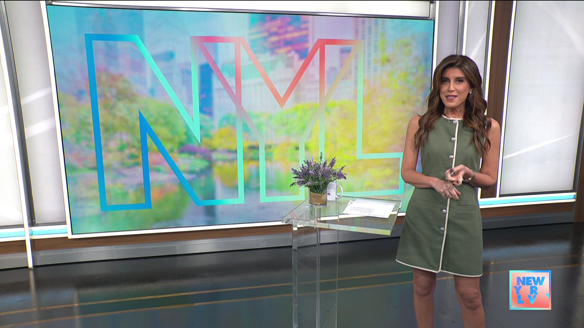 New York Live 2026-01-12-1130 (06).png