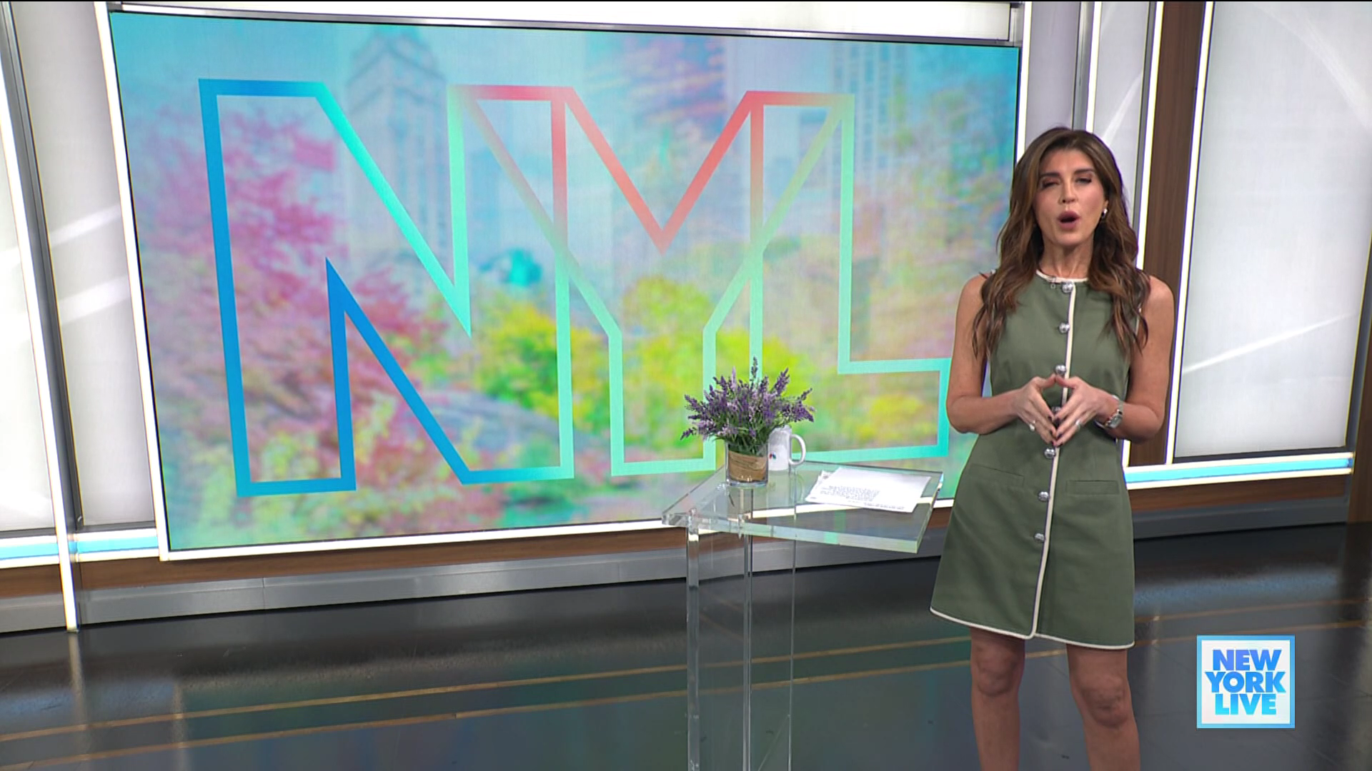 New York Live 2026-01-12-1130 (07).png