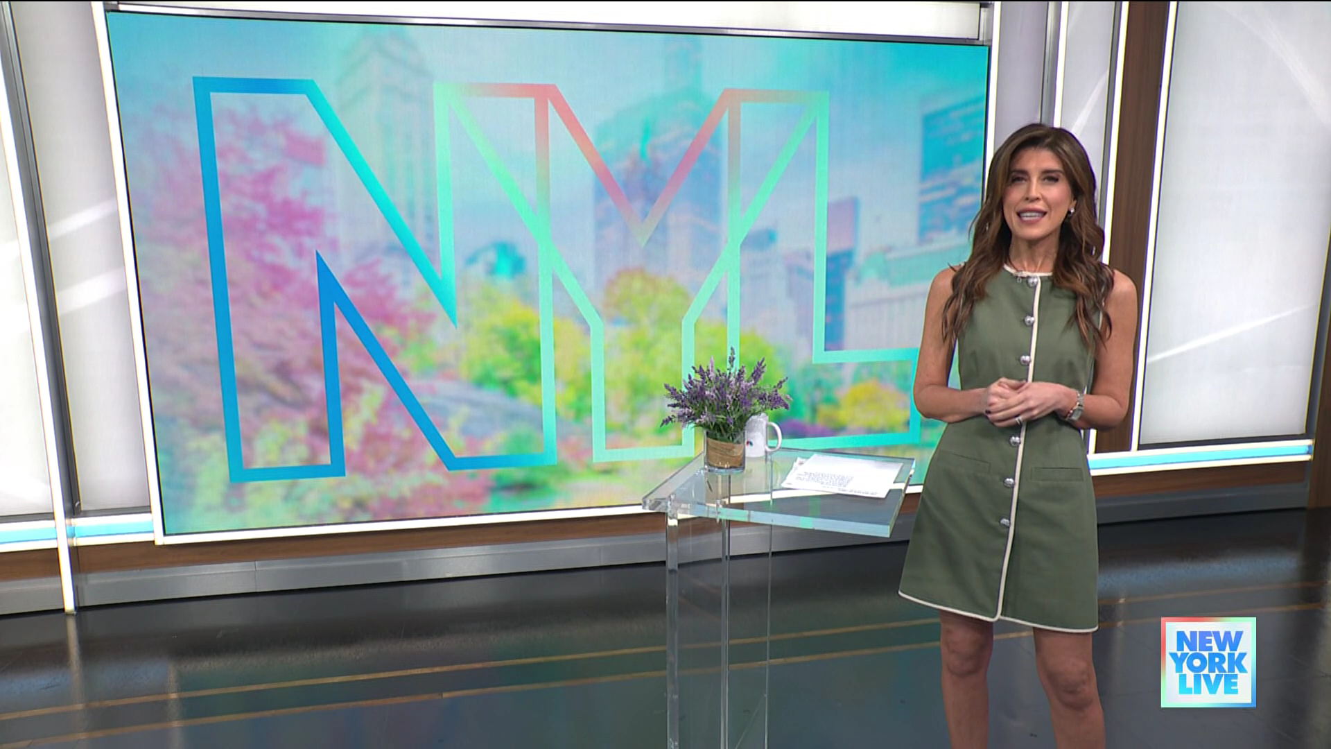 New York Live 2026-01-12-1130 (08).png