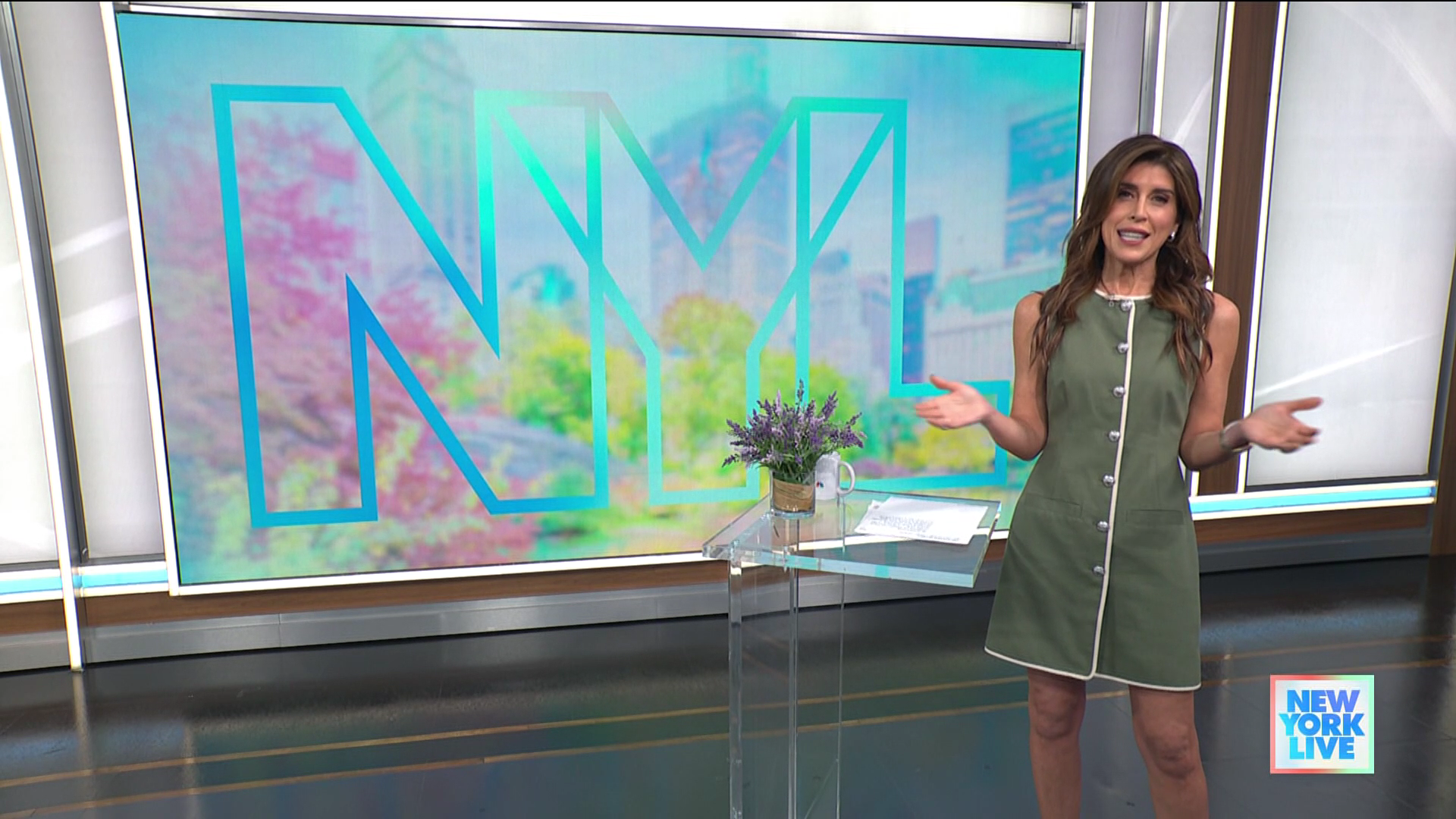 New York Live 2026-01-12-1130 (09).png