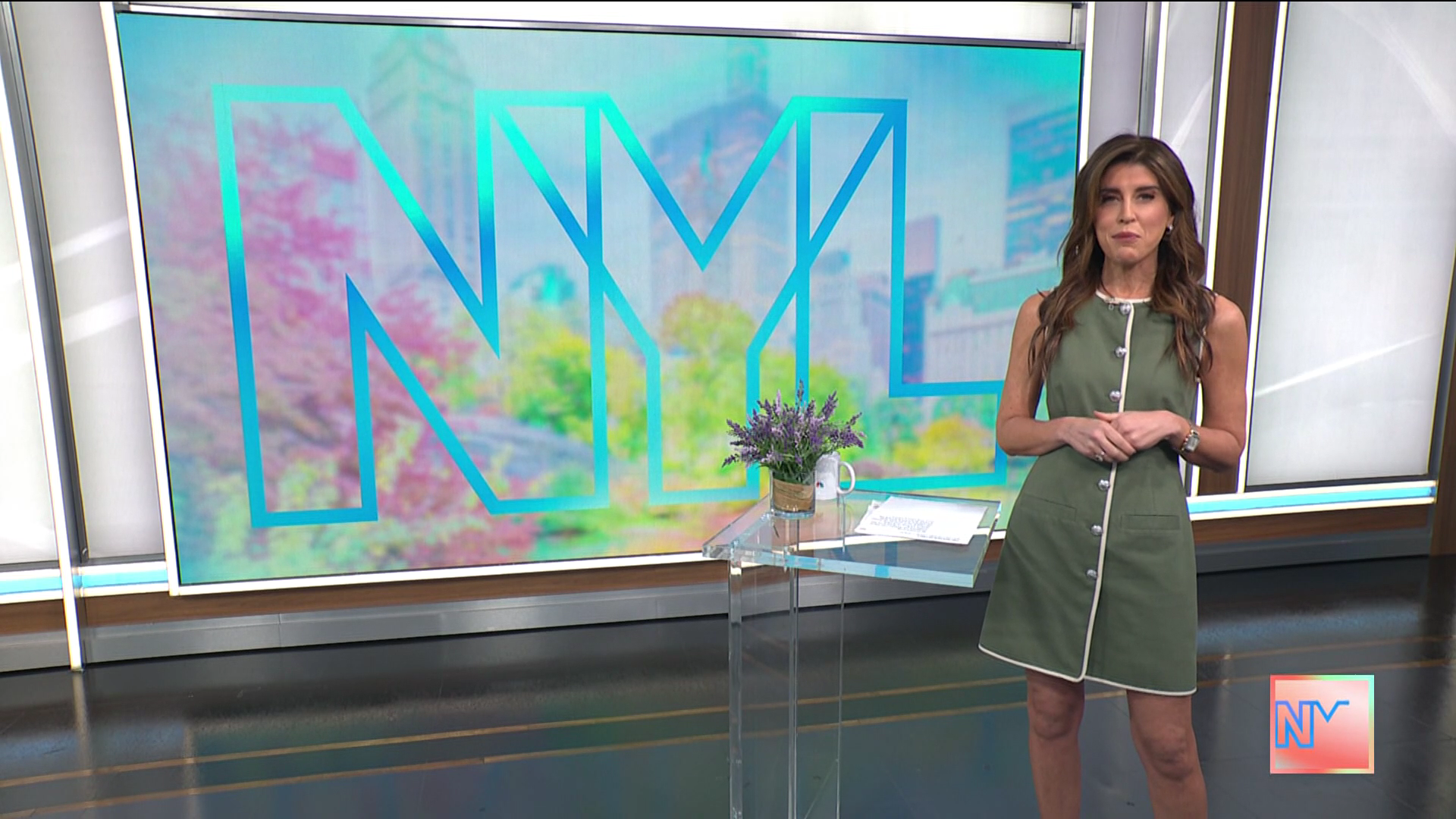 New York Live 2026-01-12-1130 (10).png