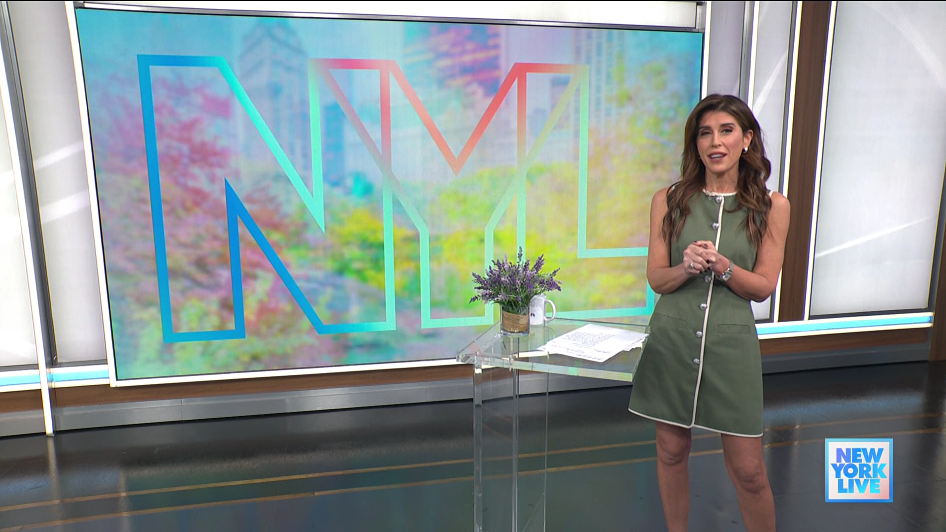 New York Live 2026-01-12-1130 (13).png