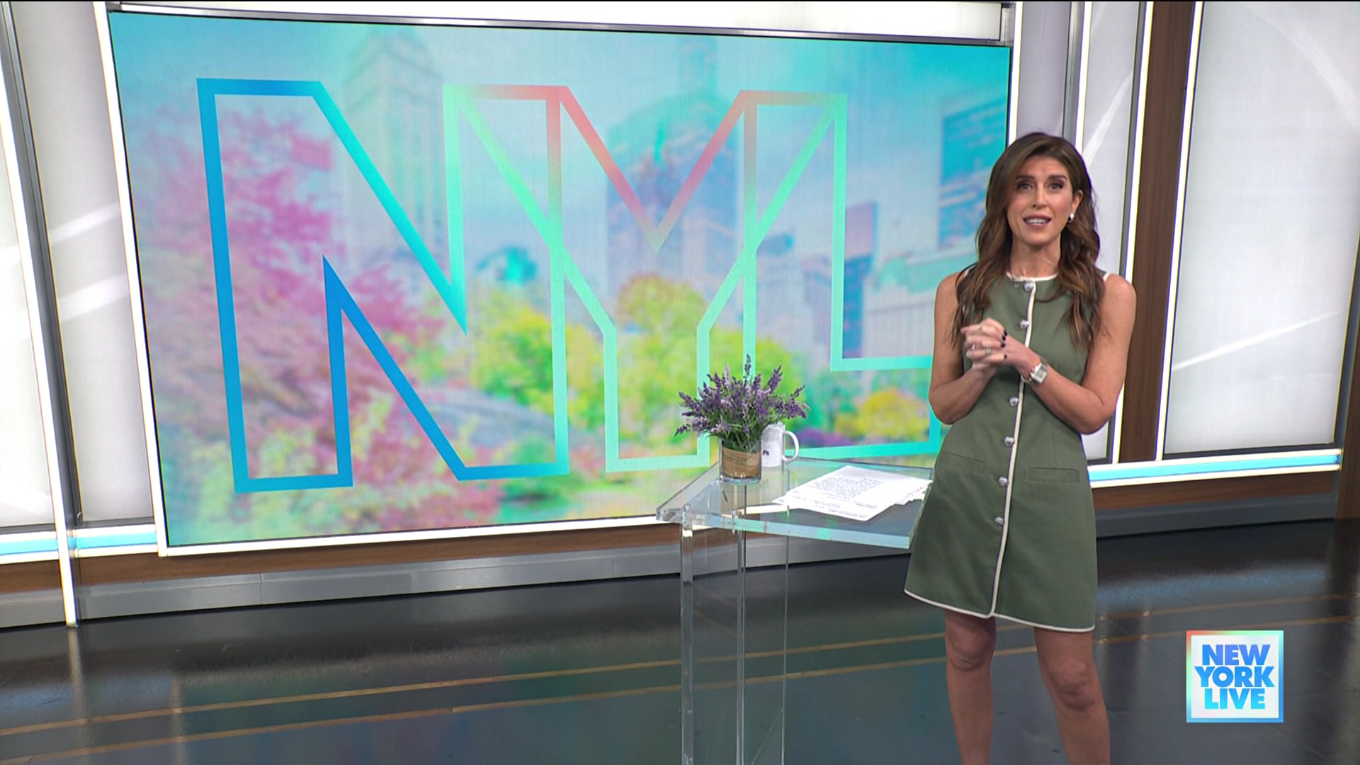 New York Live 2026-01-12-1130 (14).png