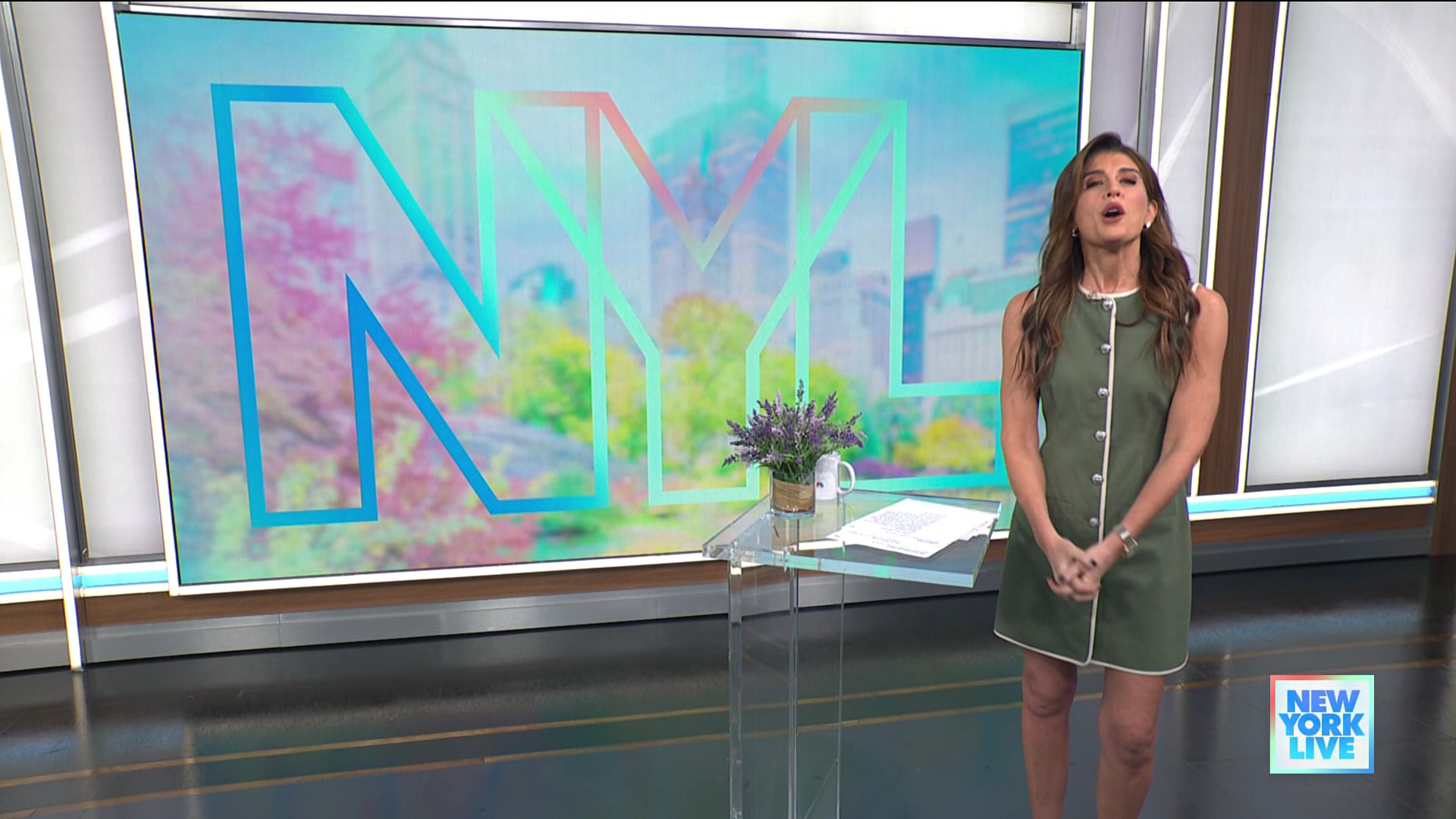 New York Live 2026-01-12-1130 (15).png