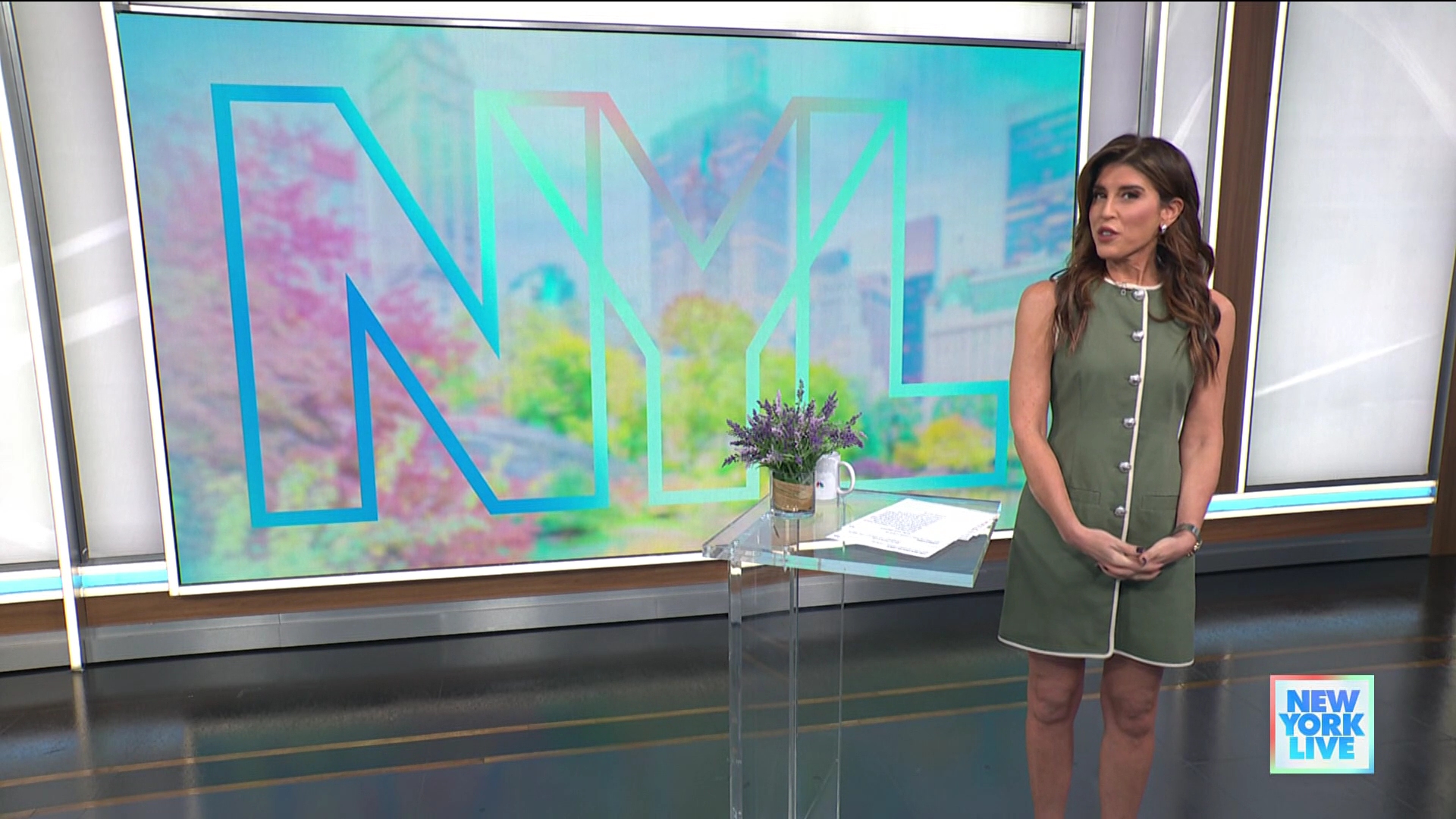 New York Live 2026-01-12-1130 (16).png