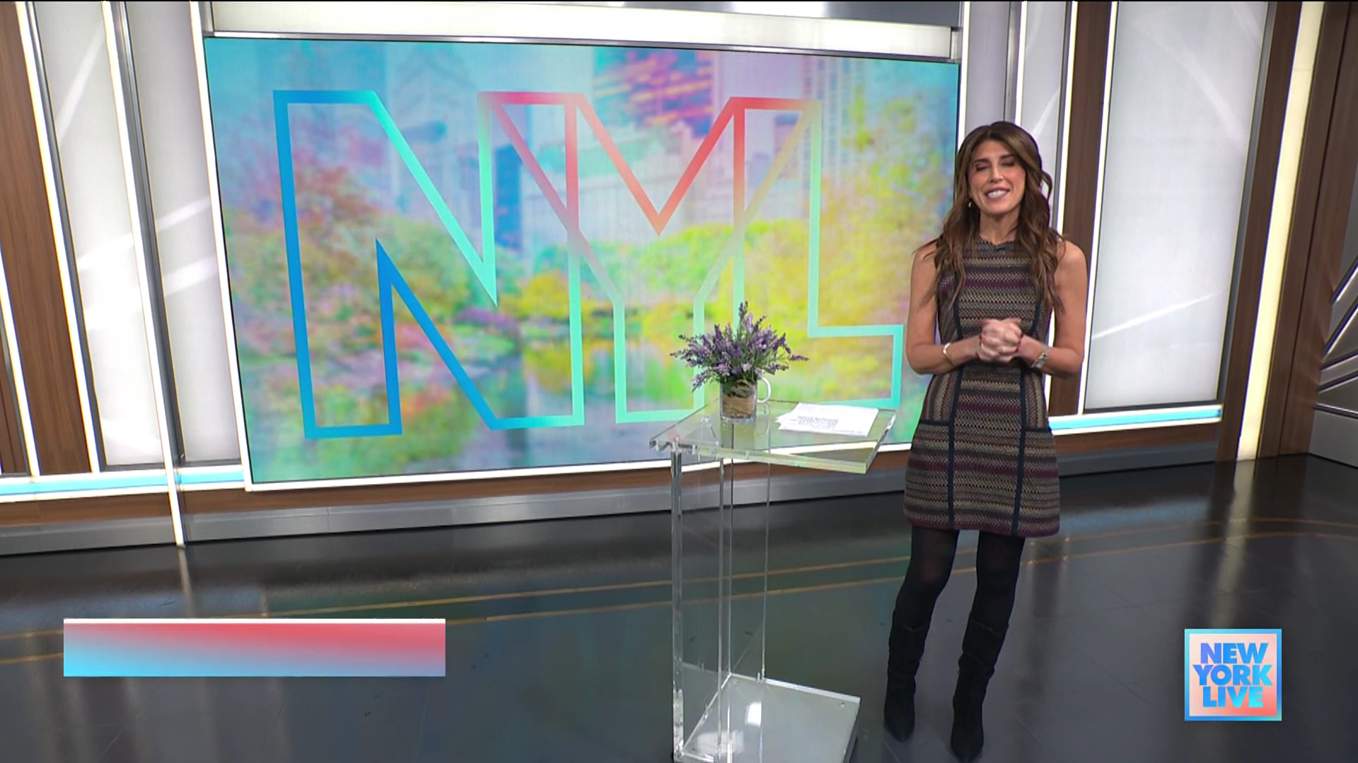 New York Live 2026-01-13-1130 (02).png