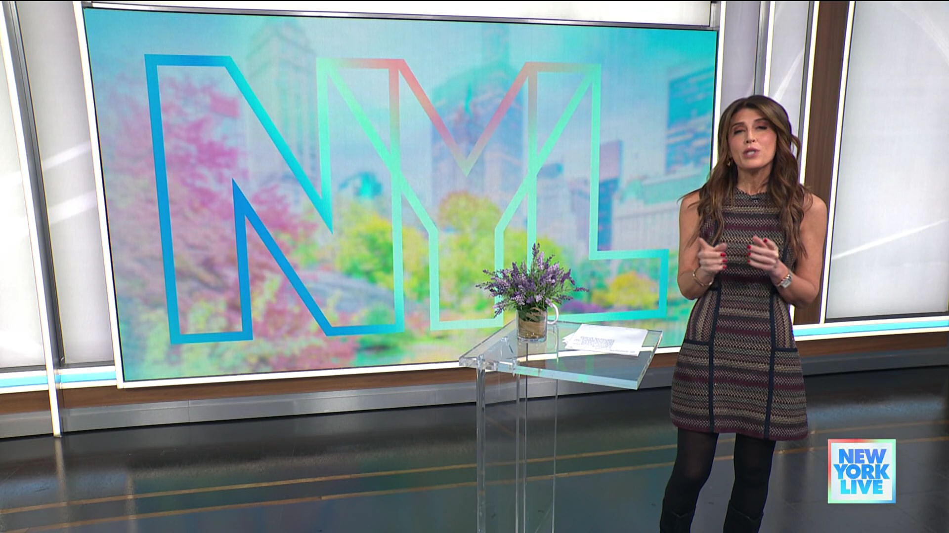 New York Live 2026-01-13-1130 (05).png