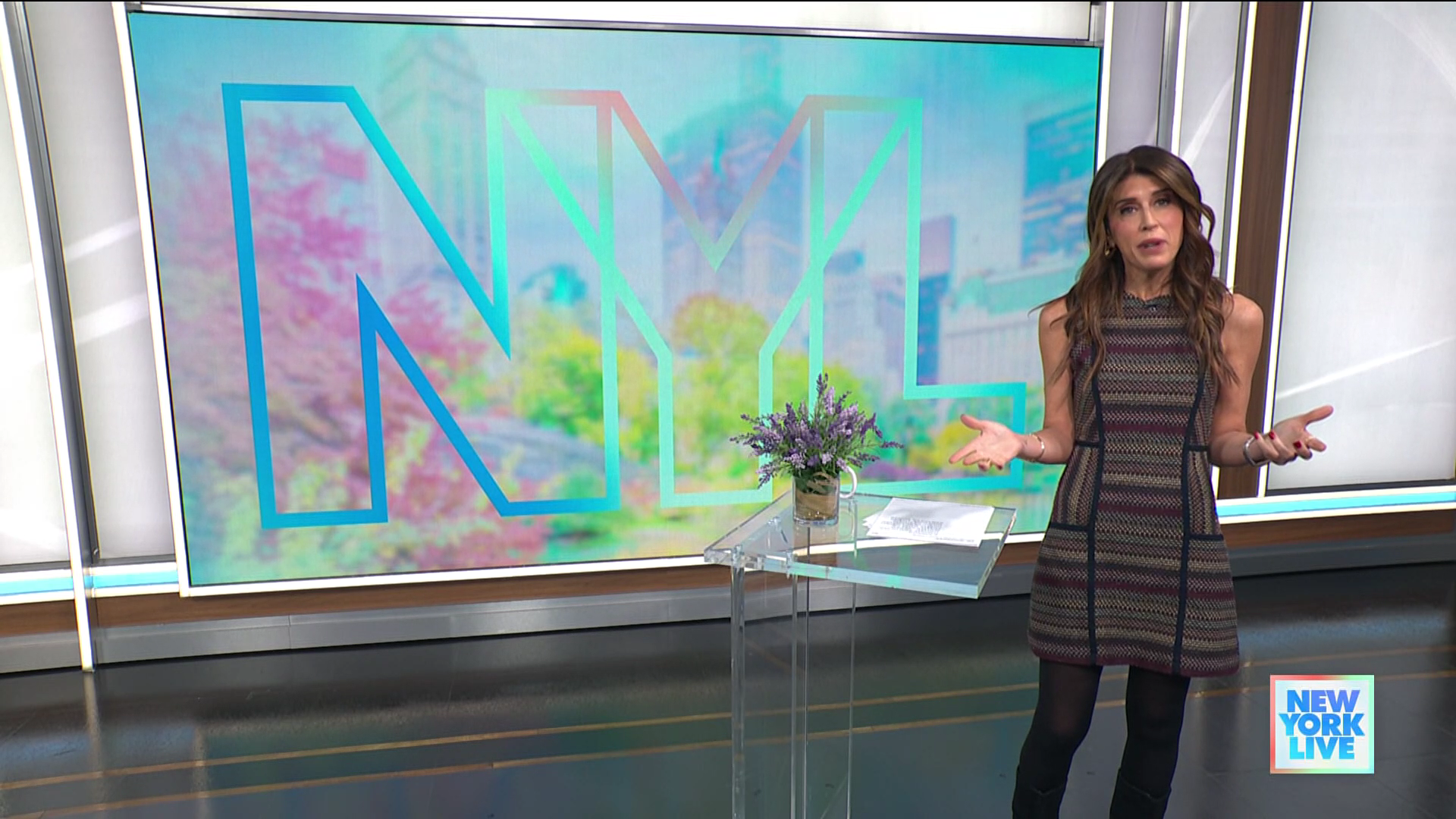 New York Live 2026-01-13-1130 (06).png