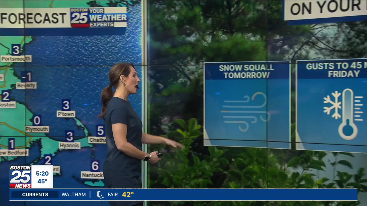 Boston 25 Morning News at 5AM 2026-01-14-0500 (20).png