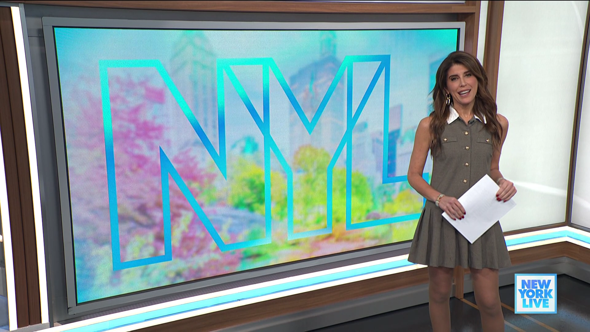 New York Live 2026-01-15-1130 (41).png