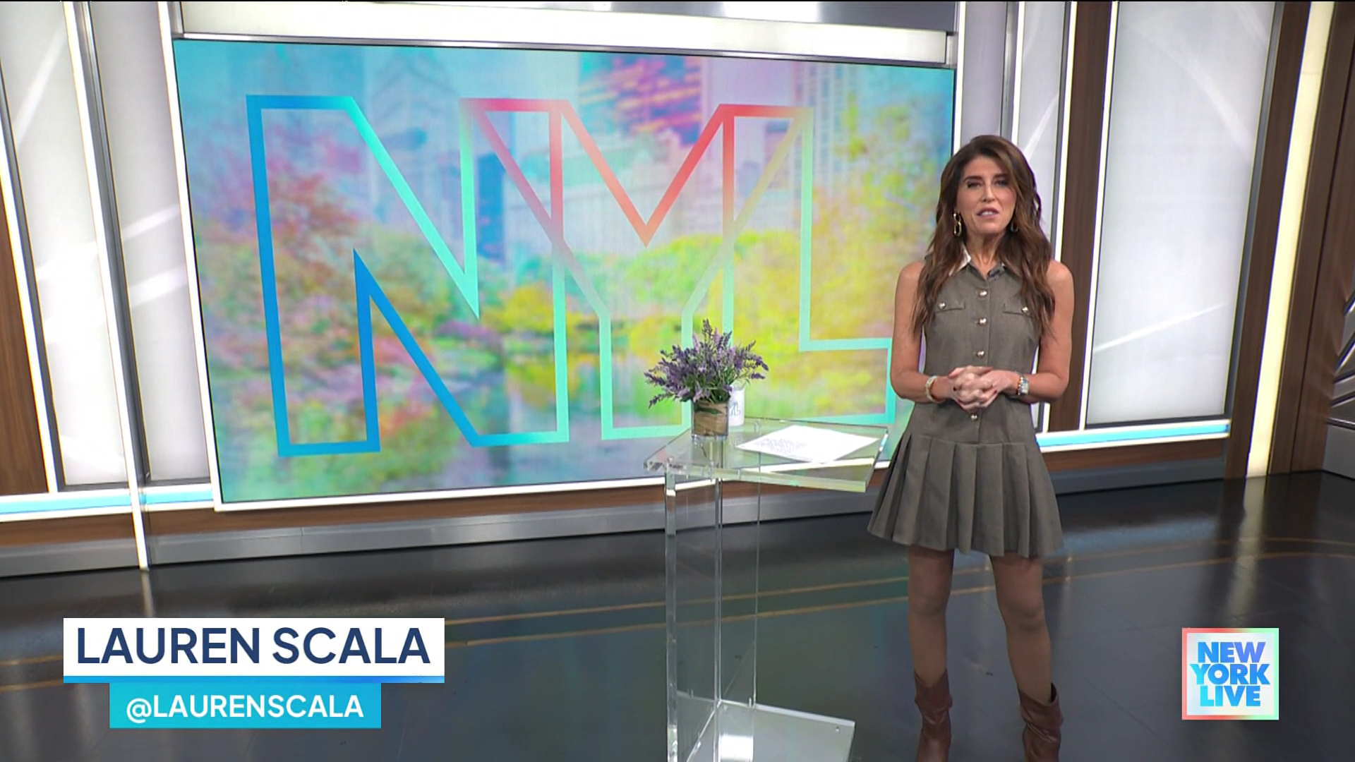 New York Live 2026-01-15-1130 (04).png