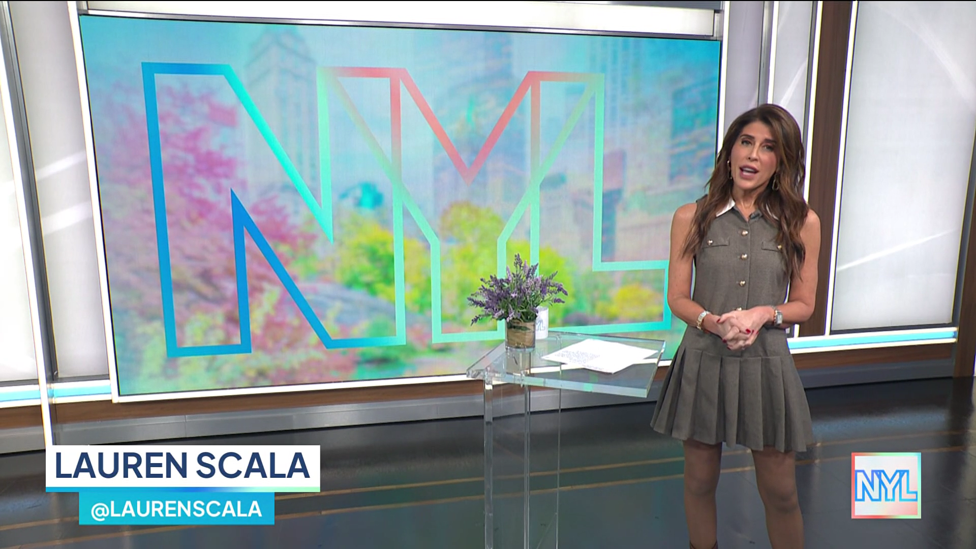 New York Live 2026-01-15-1130 (06).png