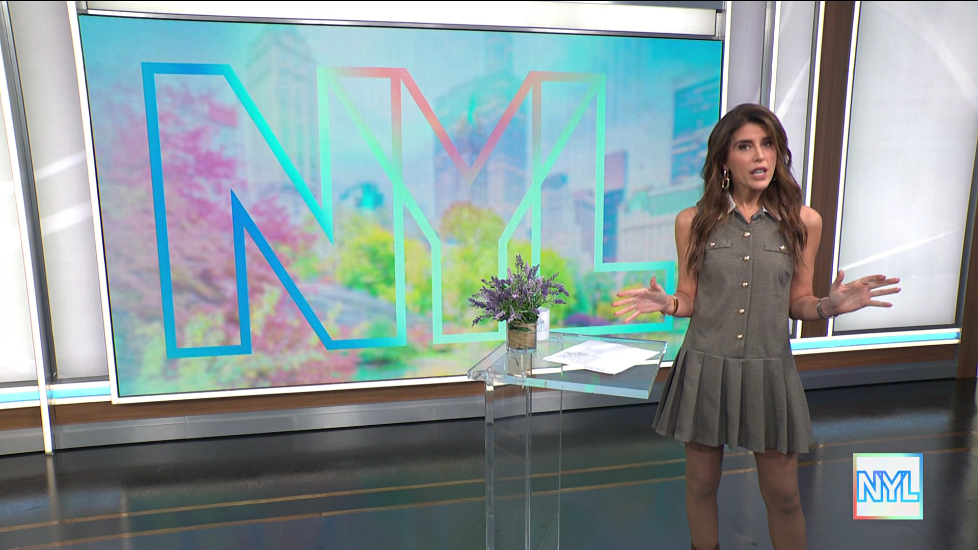 New York Live 2026-01-15-1130 (07).png