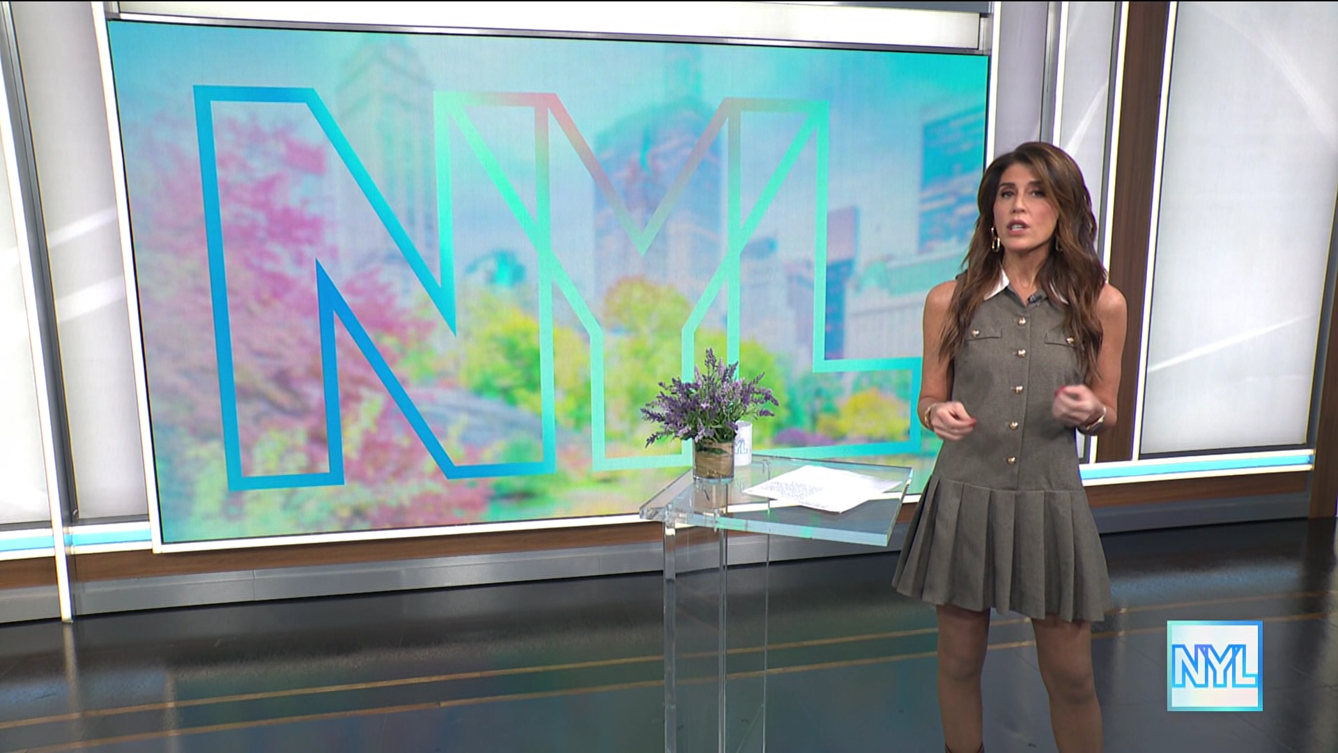 New York Live 2026-01-15-1130 (08).png